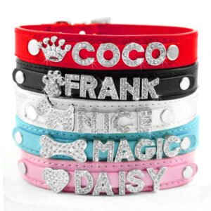 Bling Dog Collars – Personalized Collars with Rhinestone Letters & Charms