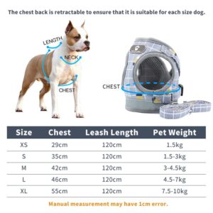 Adjustable Dog Harness with Leash