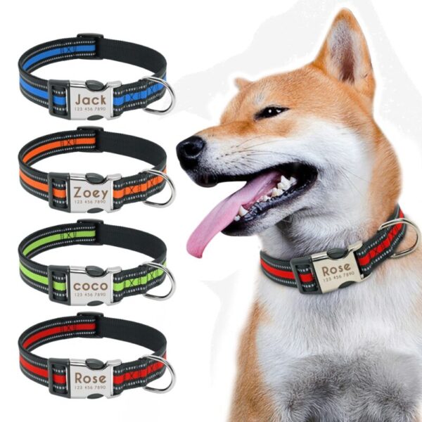 Personalized Dog Collars with Engraved Name
