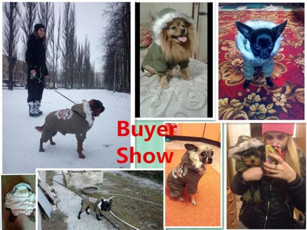Buyer showing their dogs wearing warm dog coats