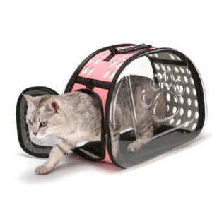 Transparent Cat Carrier