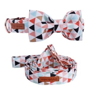 Colourful Banner Bow Tie Dog Collar with Matching Leash