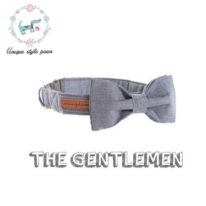 Grey Bow Tie Dog Collar with Matching Leash