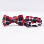 Collar with Bow Tie and Leash